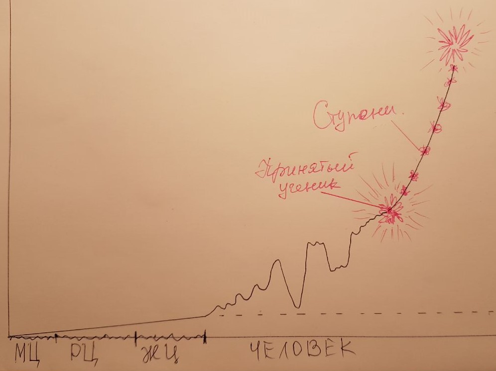 Диаграмма «Эволюция духа в&nbsp;минеральном, растительном, животном и&nbsp;человеческом царстве»